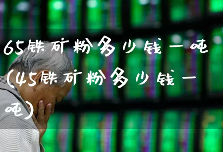 65铁矿粉多少钱一吨(45铁矿粉多少钱一吨)_https://www.heiljjianzu.com_科创板_第1张