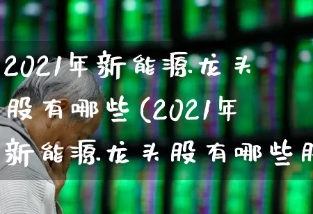 2021年新能源龙头股有哪些(2021年新能源龙头股有哪些股票)_https://www.heiljjianzu.com_上交所_第1张