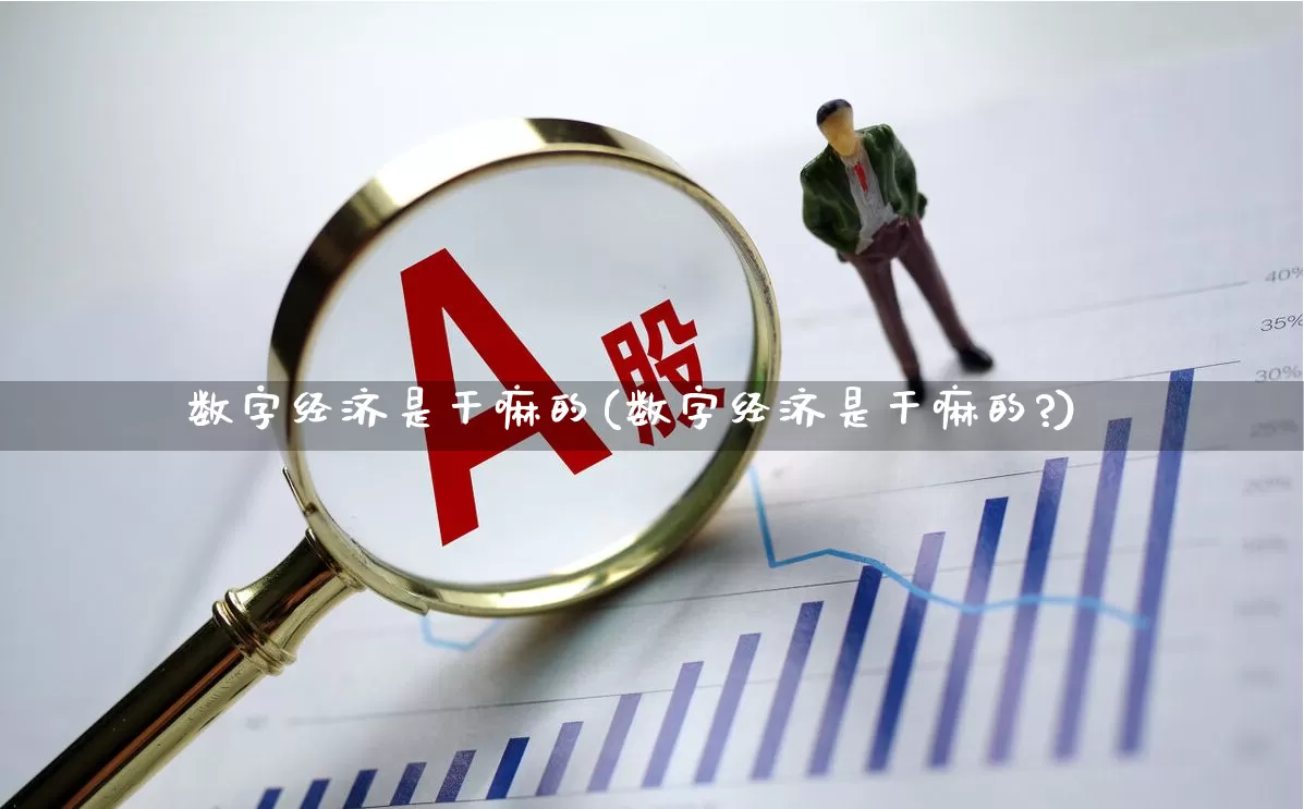 数字经济是干嘛的(数字经济是干嘛的?)_https://www.heiljjianzu.com_北交所_第1张
