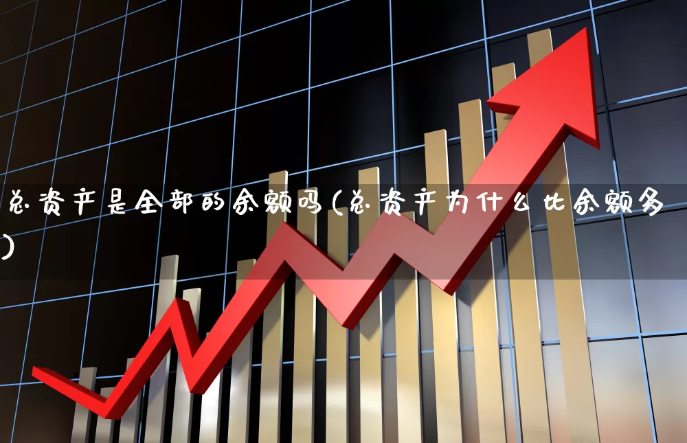 总资产是全部的余额吗(总资产为什么比余额多)_https://www.heiljjianzu.com_深交所_第1张
