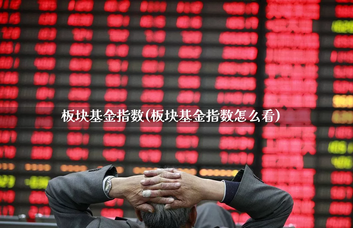 板块基金指数(板块基金指数怎么看)_https://www.heiljjianzu.com_深交所_第1张