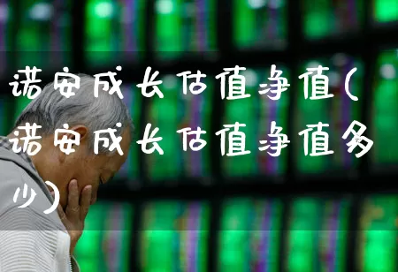 诺安成长估值净值(诺安成长估值净值多少)_https://www.heiljjianzu.com_创业板_第1张