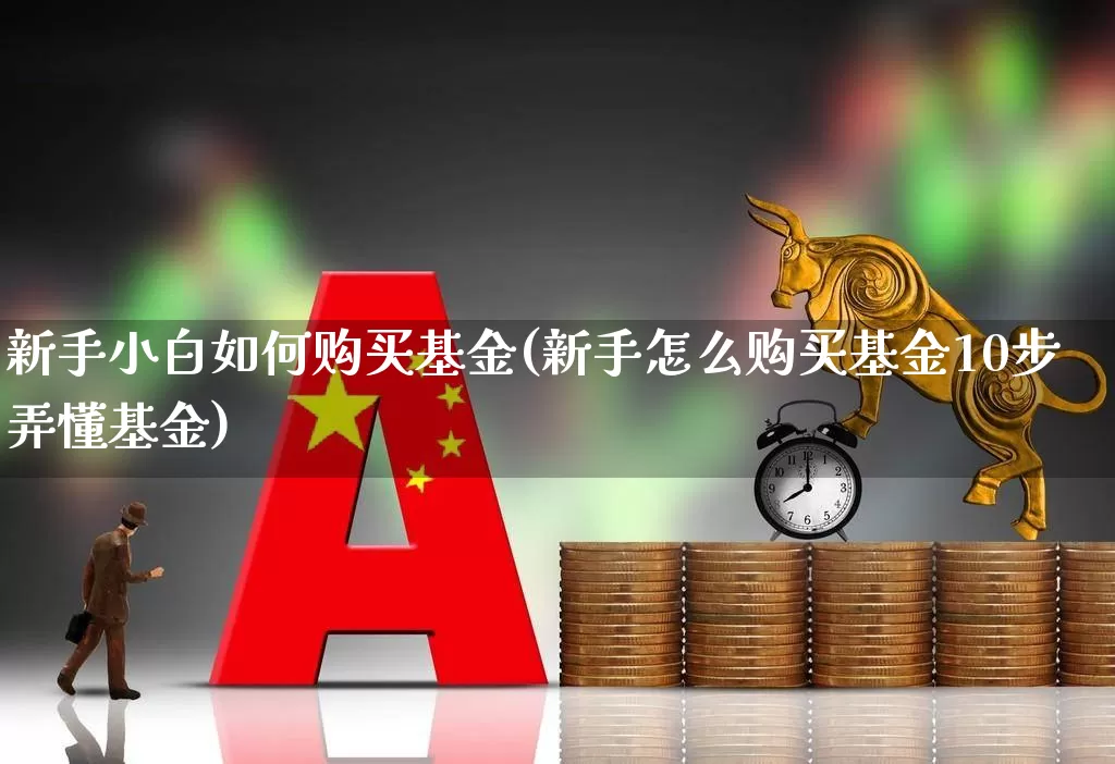 新手小白如何购买基金(新手怎么购买基金10步弄懂基金)_https://www.heiljjianzu.com_上交所_第1张