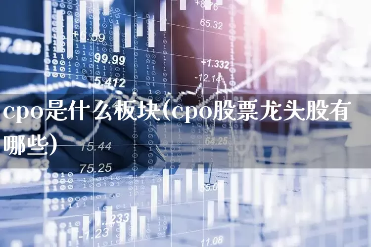 cpo是什么板块(cpo股票龙头股有哪些)_https://www.heiljjianzu.com_科创板_第1张