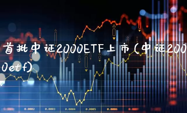 首批中证2000ETF上市(中证2000etf)_https://www.heiljjianzu.com_上交所_第1张