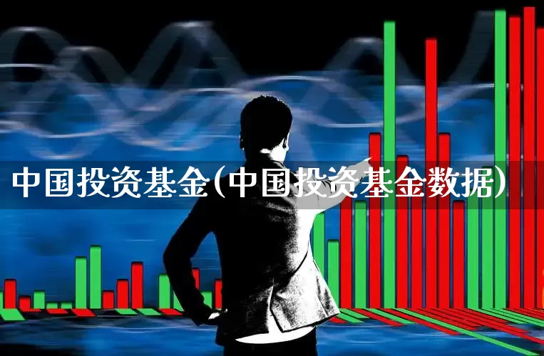 中国投资基金(中国投资基金数据)_https://www.heiljjianzu.com_科创板_第1张