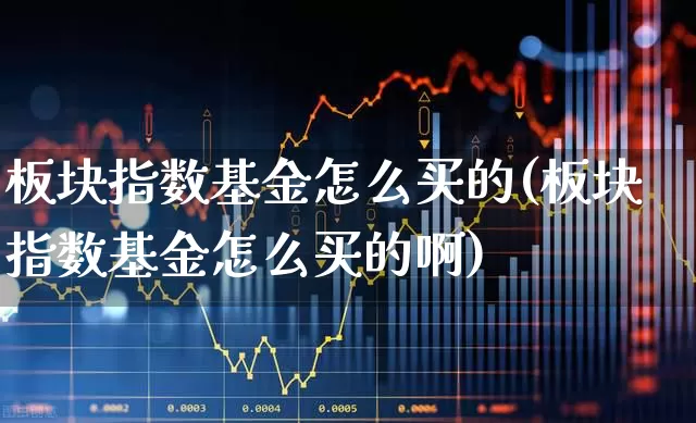 板块指数基金怎么买的(板块指数基金怎么买的啊)_https://www.heiljjianzu.com_北交所_第1张