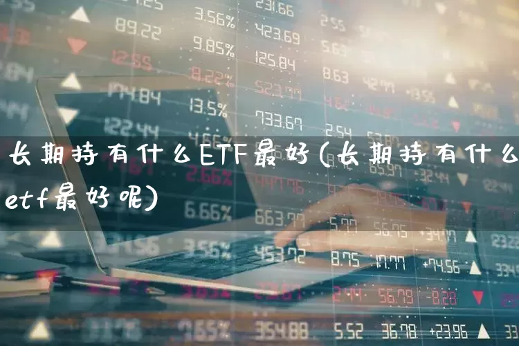 长期持有什么ETF最好(长期持有什么etf最好呢)_https://www.heiljjianzu.com_上交所_第1张