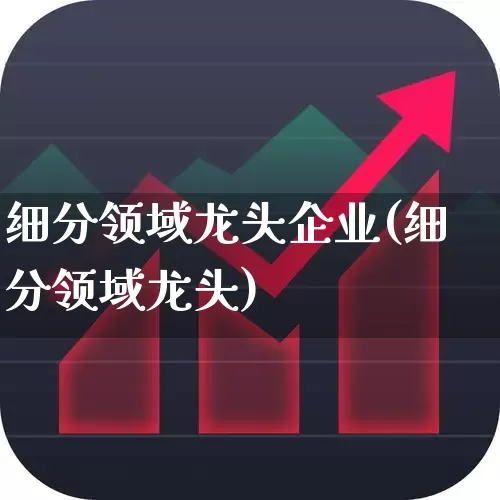 细分领域龙头企业(细分领域龙头)_https://www.heiljjianzu.com_深交所_第1张