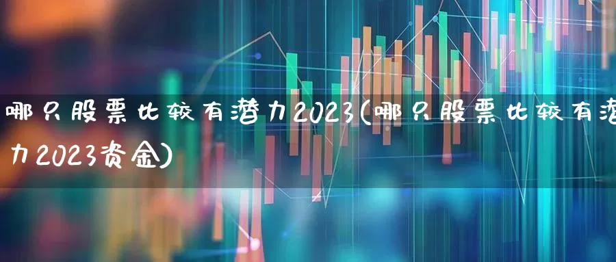 哪只股票比较有潜力2023(哪只股票比较有潜力2023资金)_https://www.heiljjianzu.com_科创板_第1张