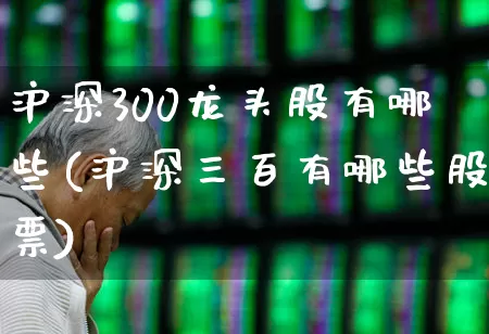 沪深300龙头股有哪些(沪深三百有哪些股票)_https://www.heiljjianzu.com_上交所_第1张