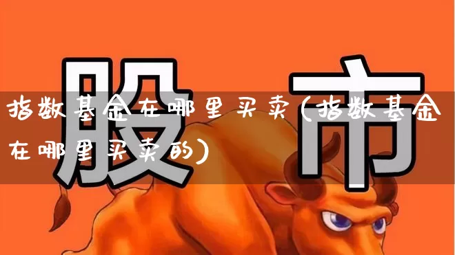 指数基金在哪里买卖(指数基金在哪里买卖的)_https://www.heiljjianzu.com_创业板_第1张