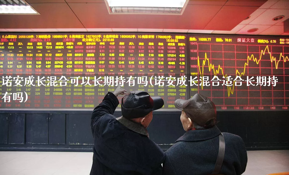 诺安成长混合可以长期持有吗(诺安成长混合适合长期持有吗)_https://www.heiljjianzu.com_科创板_第1张