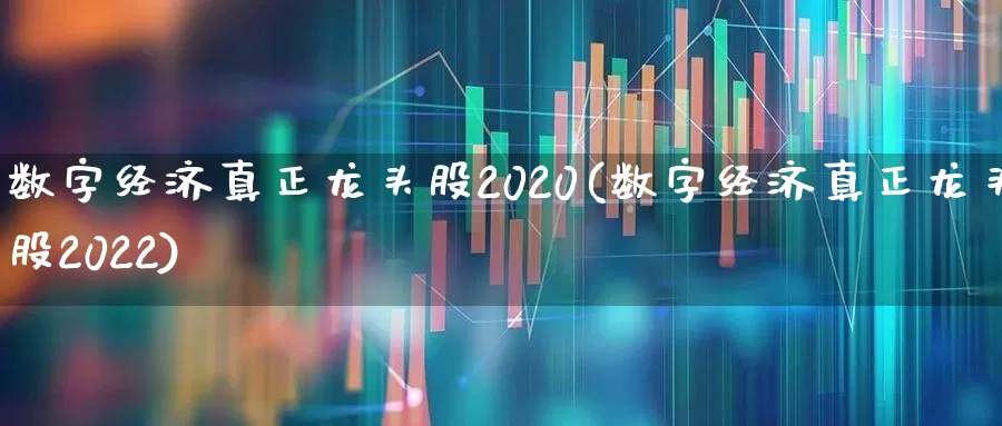 数字经济真正龙头股2020(数字经济真正龙头股2022)_https://www.heiljjianzu.com_上交所_第1张