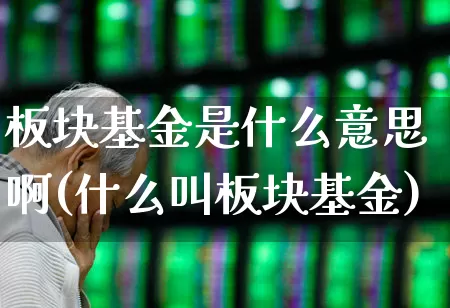 板块基金是什么意思啊(什么叫板块基金)_https://www.heiljjianzu.com_上交所_第1张