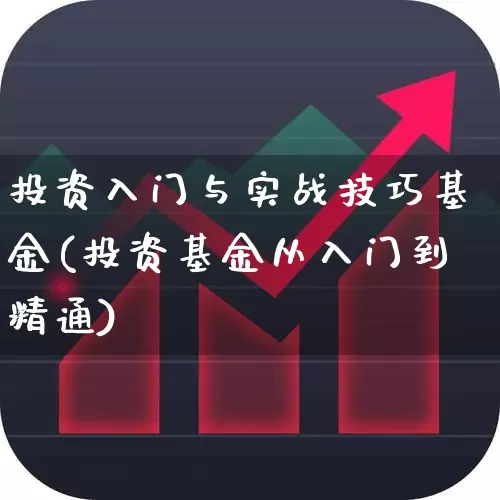 投资入门与实战技巧基金(投资基金从入门到精通)_https://www.heiljjianzu.com_创业板_第1张