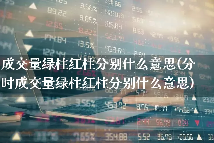 成交量绿柱红柱分别什么意思(分时成交量绿柱红柱分别什么意思)_https://www.heiljjianzu.com_科创板_第1张