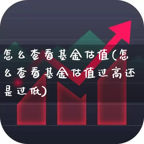 怎么查看基金估值(怎么查看基金估值过高还是过低)_https://www.heiljjianzu.com_上交所_第1张