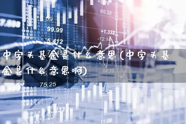 中字头基金是什么意思(中字头基金是什么意思啊)_https://www.heiljjianzu.com_科创板_第1张