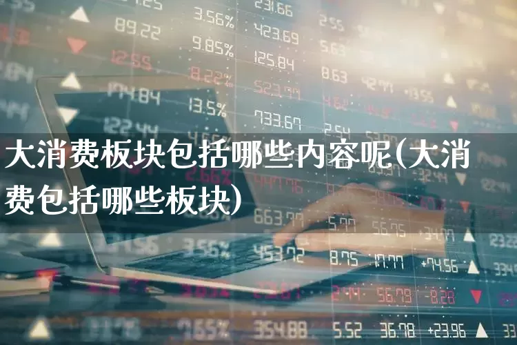 大消费板块包括哪些内容呢(大消费包括哪些板块)_https://www.heiljjianzu.com_深交所_第1张