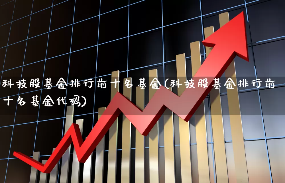 科技股基金排行前十名基金(科技股基金排行前十名基金代码)_https://www.heiljjianzu.com_北交所_第1张