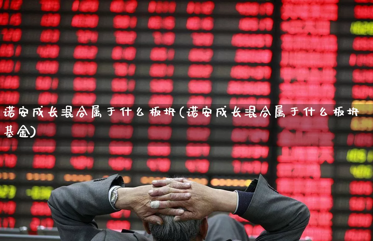 诺安成长混合属于什么板块(诺安成长混合属于什么板块基金)_https://www.heiljjianzu.com_上交所_第1张