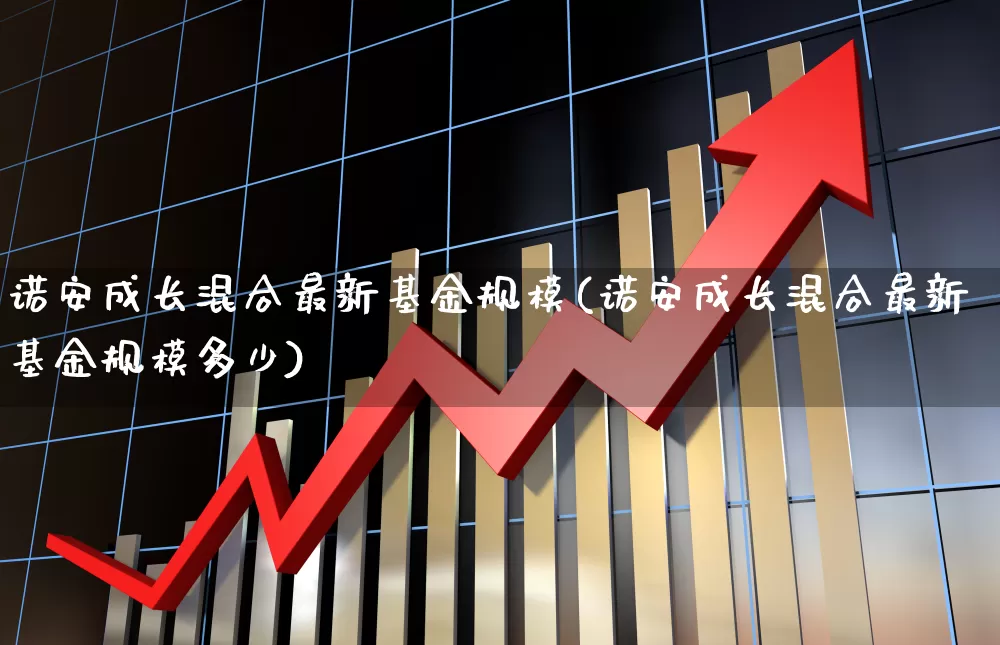 诺安成长混合最新基金规模(诺安成长混合最新基金规模多少)_https://www.heiljjianzu.com_深交所_第1张