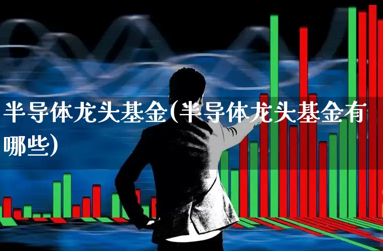 半导体龙头基金(半导体龙头基金有哪些)_https://www.heiljjianzu.com_上交所_第1张