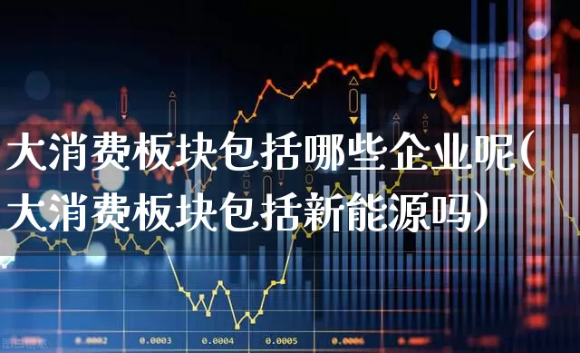 大消费板块包括哪些企业呢(大消费板块包括新能源吗)_https://www.heiljjianzu.com_科创板_第1张
