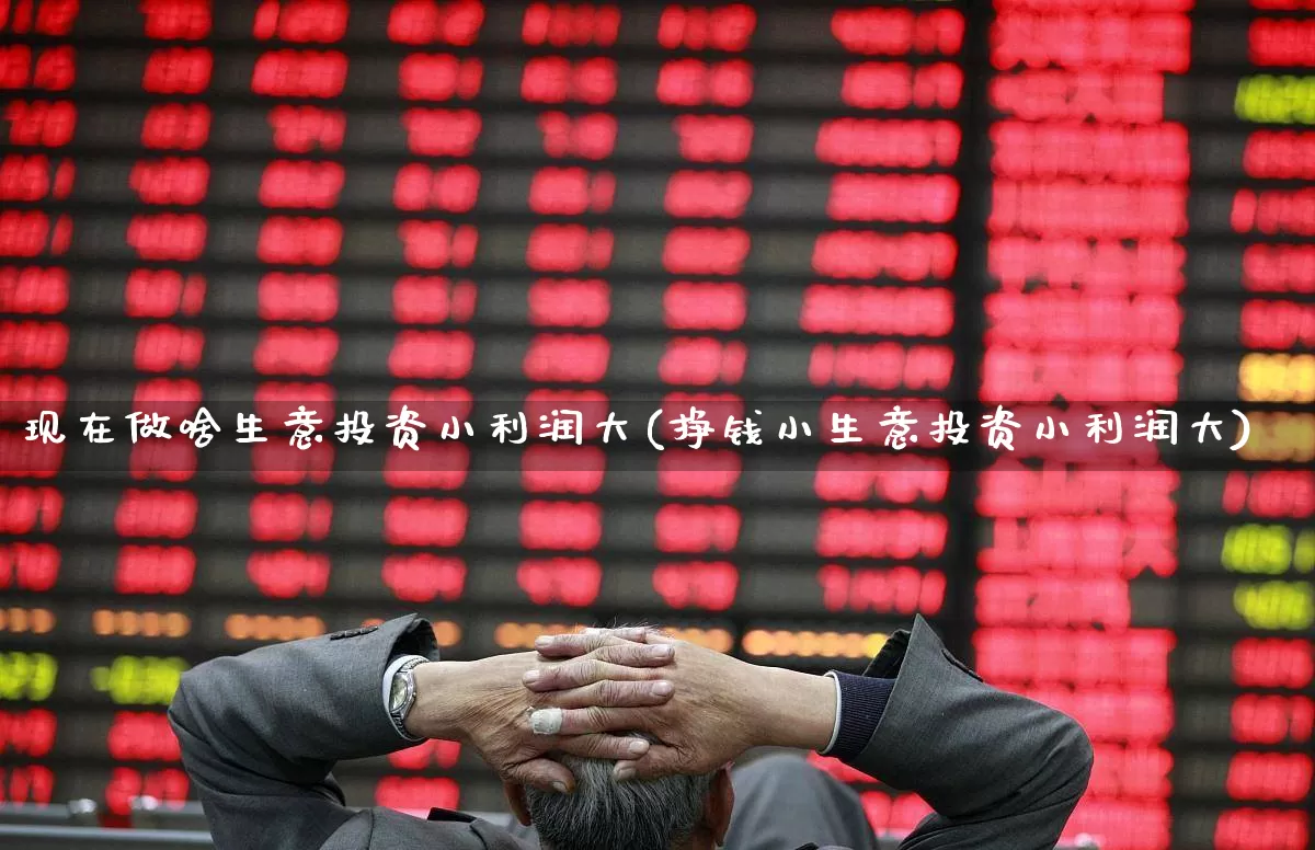 现在做啥生意投资小利润大(挣钱小生意投资小利润大)_https://www.heiljjianzu.com_深交所_第1张