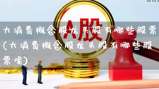 大消费概念股龙头股有哪些股票(大消费概念股龙头股有哪些股票呢)_https://www.heiljjianzu.com_深交所_第1张
