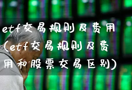 etf交易规则及费用(etf交易规则及费用和股票交易区别)_https://www.heiljjianzu.com_创业板_第1张