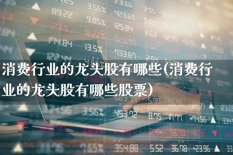 消费行业的龙头股有哪些(消费行业的龙头股有哪些股票)_https://www.heiljjianzu.com_科创板_第1张
