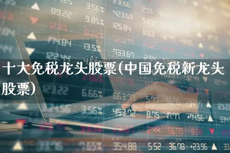 十大免税龙头股票(中国免税新龙头股票)_https://www.heiljjianzu.com_科创板_第1张