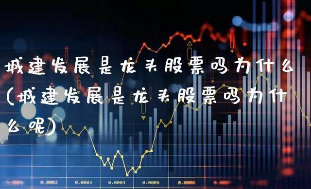 城建发展是龙头股票吗为什么(城建发展是龙头股票吗为什么呢)_https://www.heiljjianzu.com_上交所_第1张