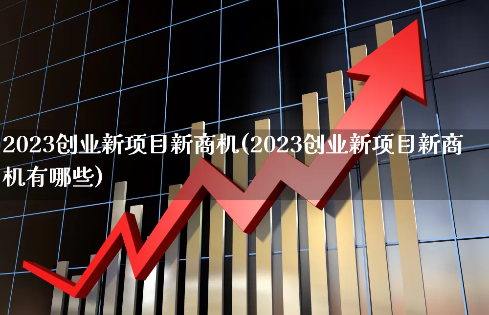 2023创业新项目新商机(2023创业新项目新商机有哪些)_https://www.heiljjianzu.com_创业板_第1张