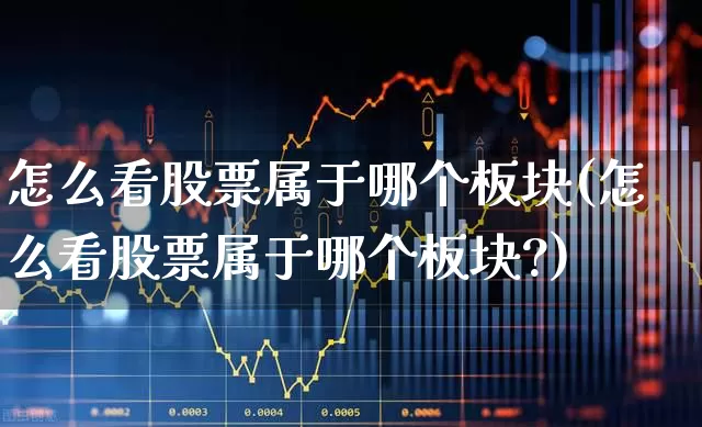 怎么看股票属于哪个板块(怎么看股票属于哪个板块?)_https://www.heiljjianzu.com_创业板_第1张