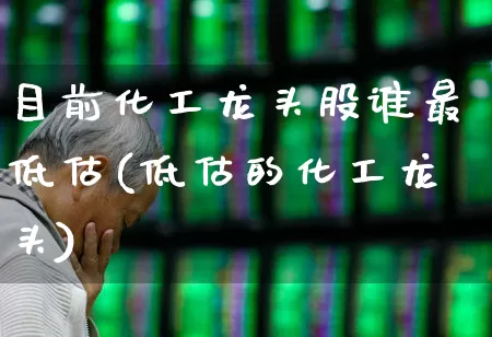 目前化工龙头股谁最低估(低估的化工龙头)_https://www.heiljjianzu.com_科创板_第1张