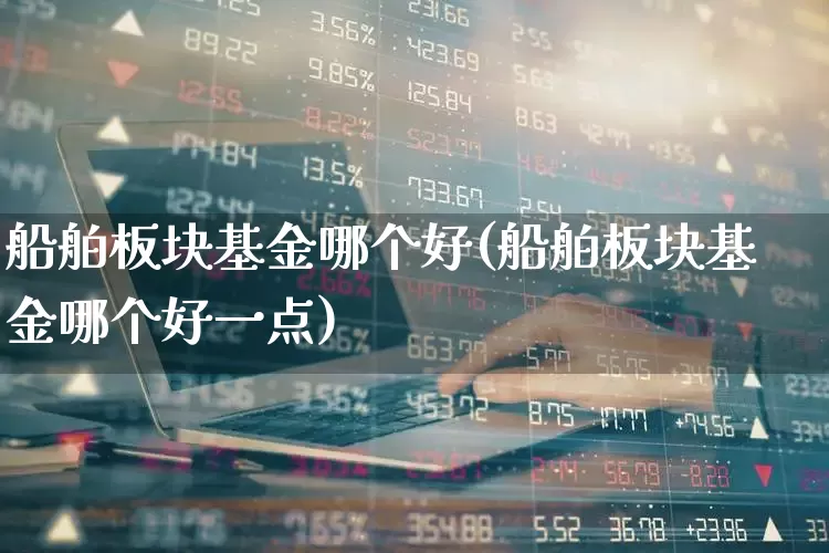 船舶板块基金哪个好(船舶板块基金哪个好一点)_https://www.heiljjianzu.com_上交所_第1张