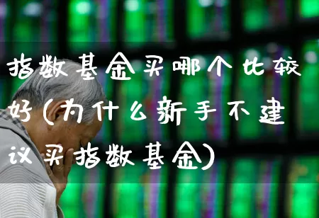 指数基金买哪个比较好(为什么新手不建议买指数基金)_https://www.heiljjianzu.com_北交所_第1张