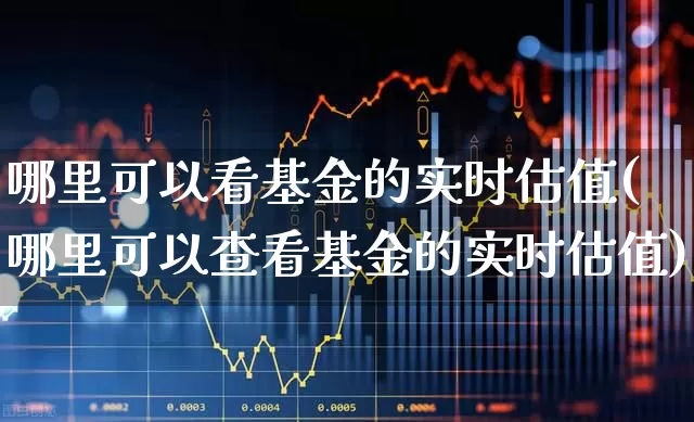哪里可以看基金的实时估值(哪里可以查看基金的实时估值)_https://www.heiljjianzu.com_创业板_第1张
