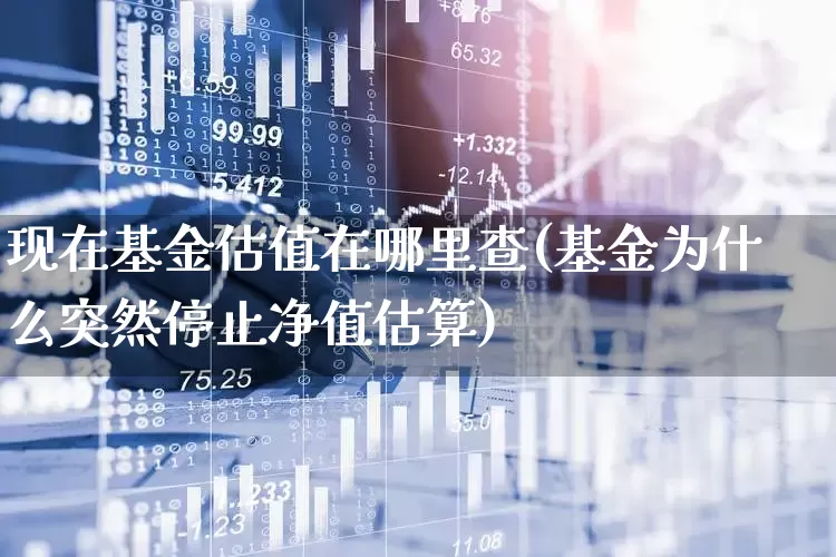现在基金估值在哪里查(基金为什么突然停止净值估算)_https://www.heiljjianzu.com_创业板_第1张
