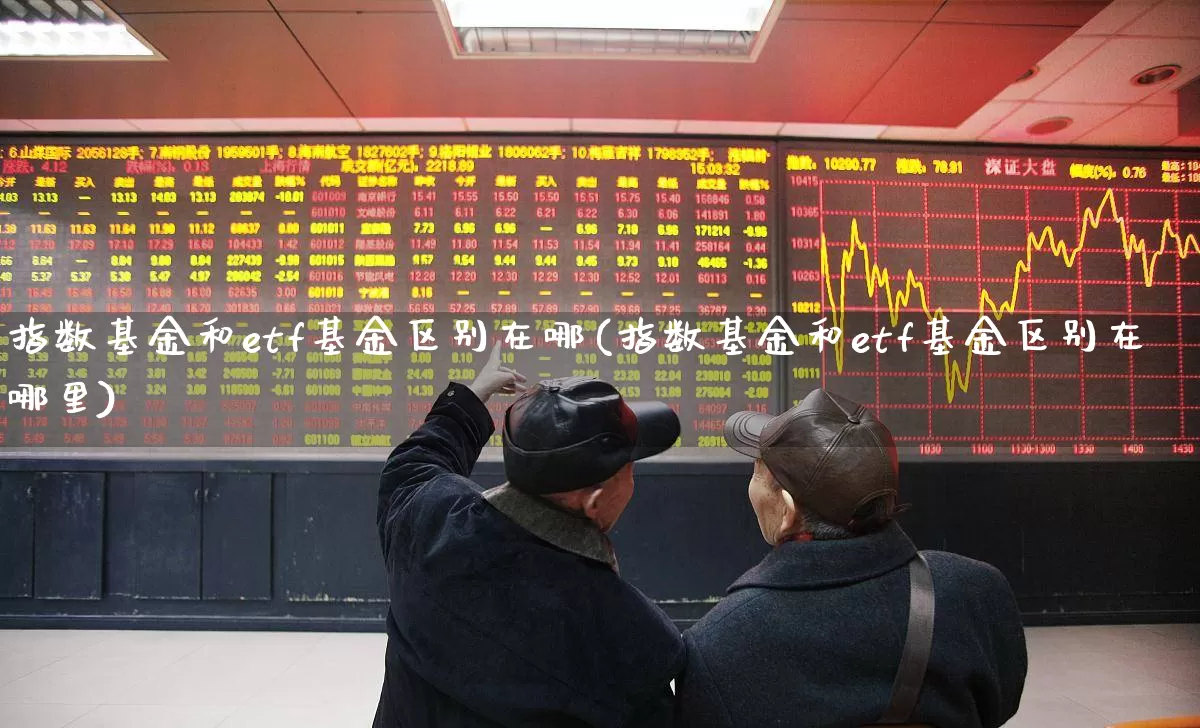 指数基金和etf基金区别在哪(指数基金和etf基金区别在哪里)_https://www.heiljjianzu.com_上交所_第1张