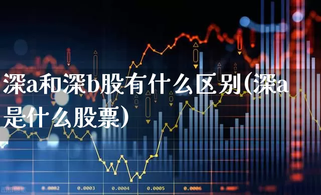 深a和深b股有什么区别(深a是什么股票)_https://www.heiljjianzu.com_上交所_第1张