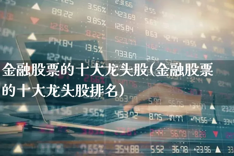 金融股票的十大龙头股(金融股票的十大龙头股排名)_https://www.heiljjianzu.com_北交所_第1张