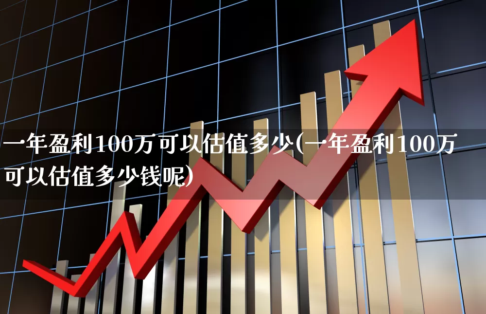 一年盈利100万可以估值多少(一年盈利100万可以估值多少钱呢)_https://www.heiljjianzu.com_深交所_第1张