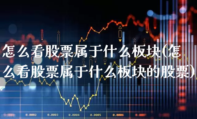 怎么看股票属于什么板块(怎么看股票属于什么板块的股票)_https://www.heiljjianzu.com_北交所_第1张