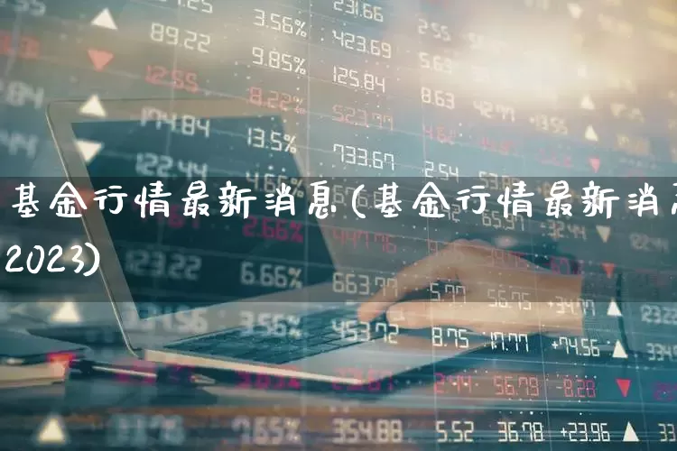 基金行情最新消息(基金行情最新消息2023)_https://www.heiljjianzu.com_上交所_第1张