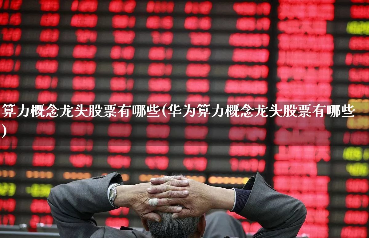 算力概念龙头股票有哪些(华为算力概念龙头股票有哪些)_https://www.heiljjianzu.com_北交所_第1张