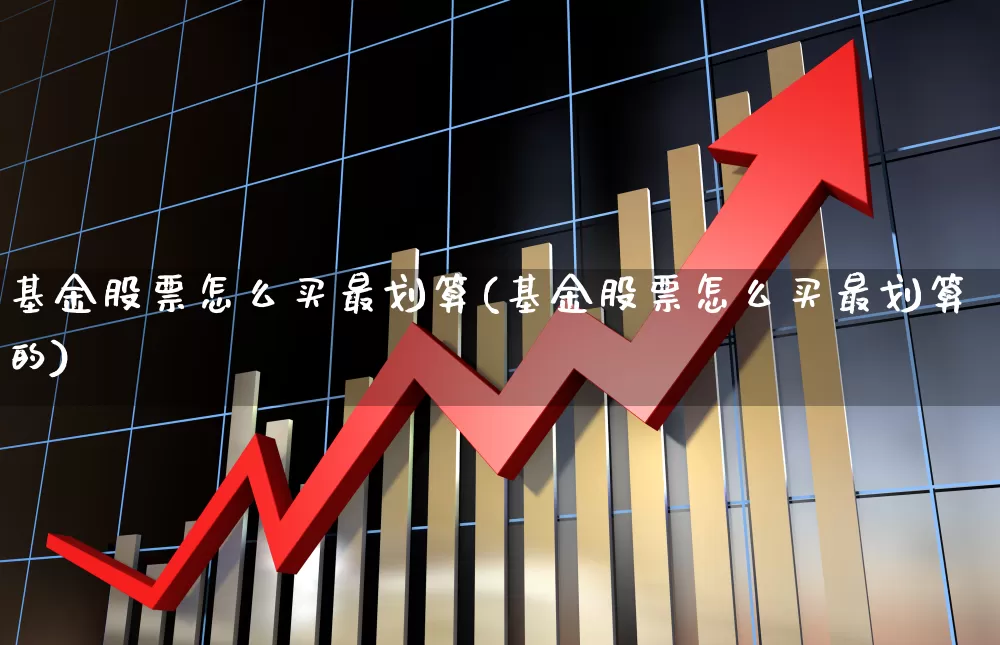 基金股票怎么买最划算(基金股票怎么买最划算的)_https://www.heiljjianzu.com_上交所_第1张
